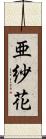 亜紗花 Scroll