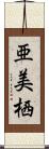 亜美栖 Scroll