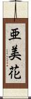 亜美花 Scroll