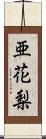 亜花梨 Scroll