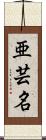 亜芸名 Scroll