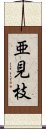亜見枝 Scroll