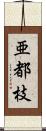 亜都枝 Scroll