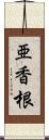 亜香根 Scroll