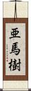 亜馬樹 Scroll