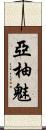 亞柚魅 Scroll
