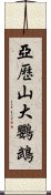 亞歷山大鸚鵡 Scroll