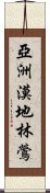 亞洲漠地林鶯 Scroll