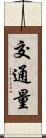 交通量 Scroll