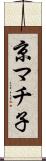 京マチ子 Scroll