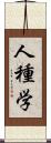 人種学 Scroll