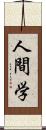 人間学 Scroll