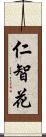 仁智花 Scroll