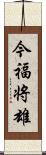今福将雄 Scroll