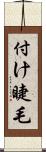 付け睫毛 Scroll