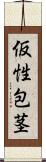 仮性包茎 Scroll