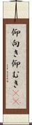 仰向き Scroll