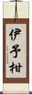 伊予柑 Scroll