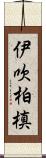 伊吹柏槙 Scroll