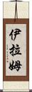 Iram Scroll