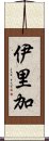 伊里加 Scroll