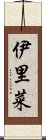 伊里菜 Scroll