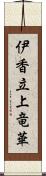 伊香立上竜華 Scroll