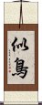似鳥 Scroll