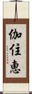 伽住恵 Scroll