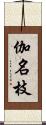 伽名枝 Scroll