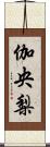 伽央梨 Scroll