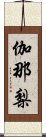 伽那梨 Scroll