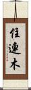 住連木 Scroll