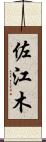 佐江木 Scroll