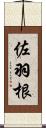 佐羽根 Scroll