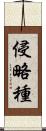 侵略種 Scroll