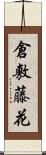 倉敷藤花 Scroll