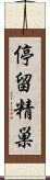 停留精巣 Scroll