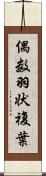 偶数羽状複葉 Scroll