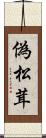偽松茸 Scroll