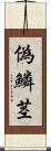 偽鱗茎 Scroll