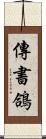 傳書鴿 Scroll