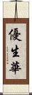 優生華 Scroll