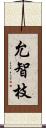 允智枝 Scroll