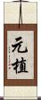 元植 Scroll