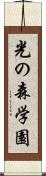 光の森学園 Scroll