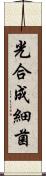 光合成細菌 Scroll