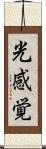 光感覚 Scroll