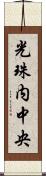 光珠内中央 Scroll