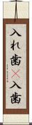 入れ歯(P) Scroll